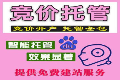 百度广告竞价策略解析与应用案例